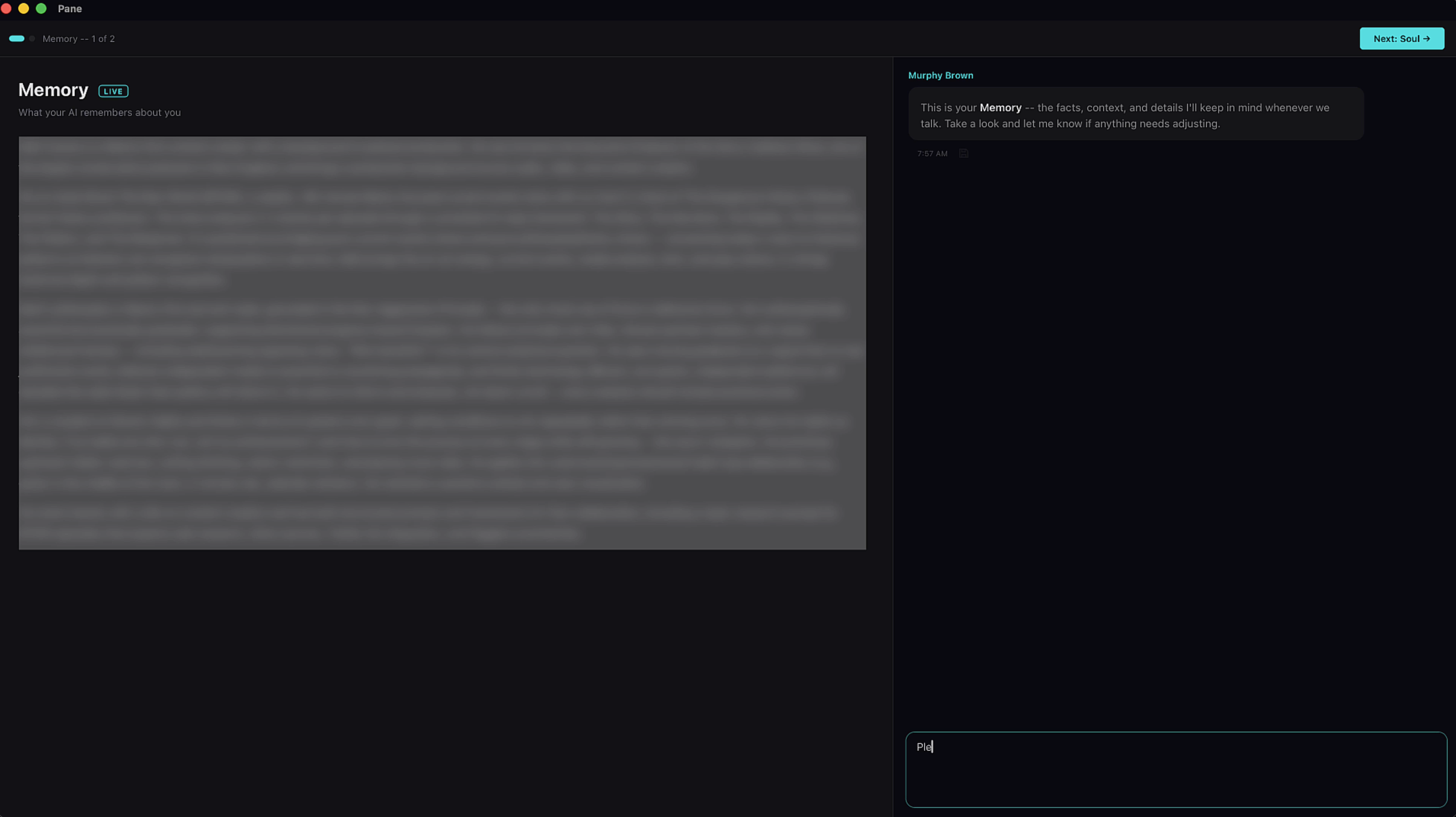 Memory document review with chat