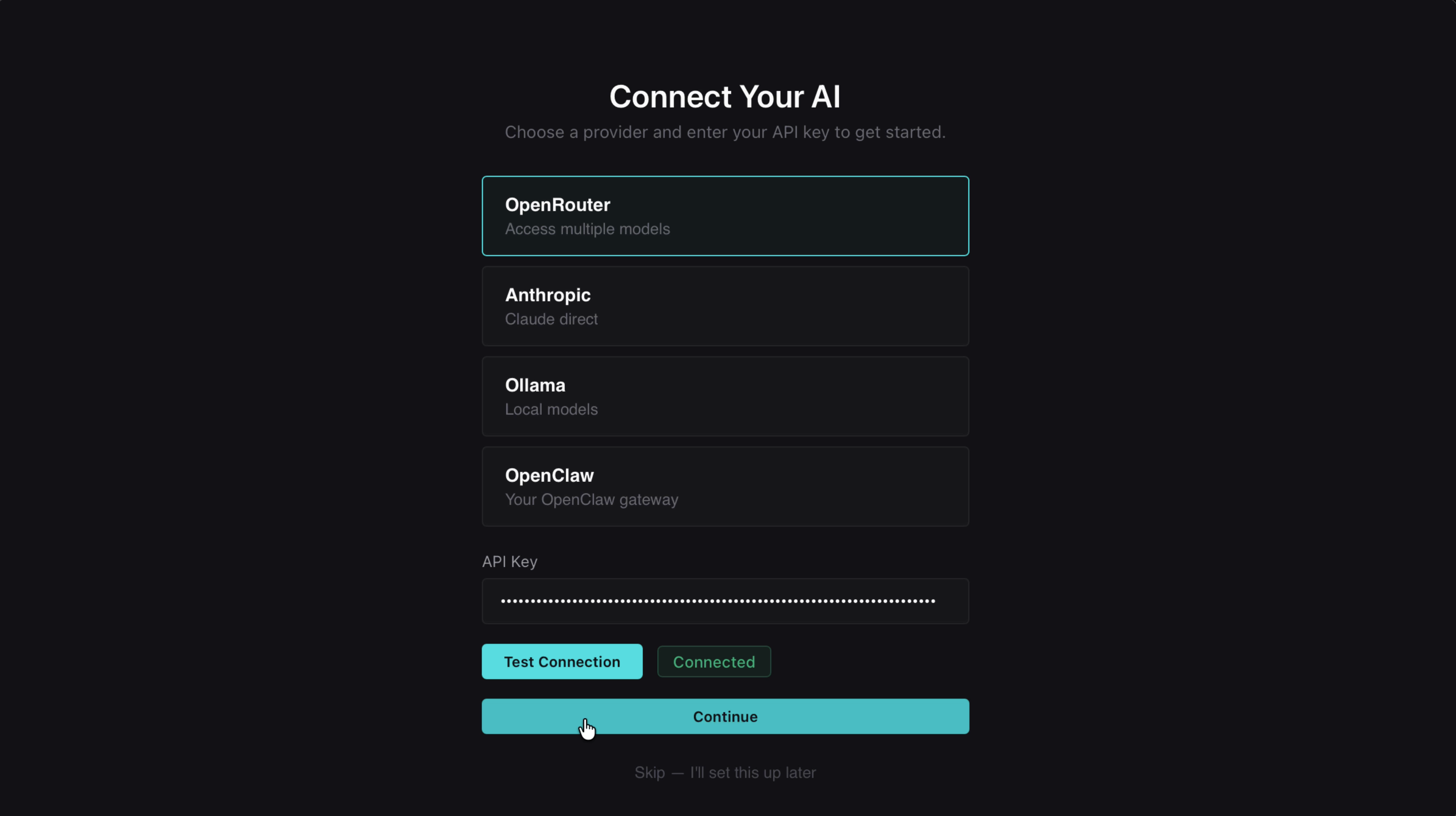 API key entry and test connection screen