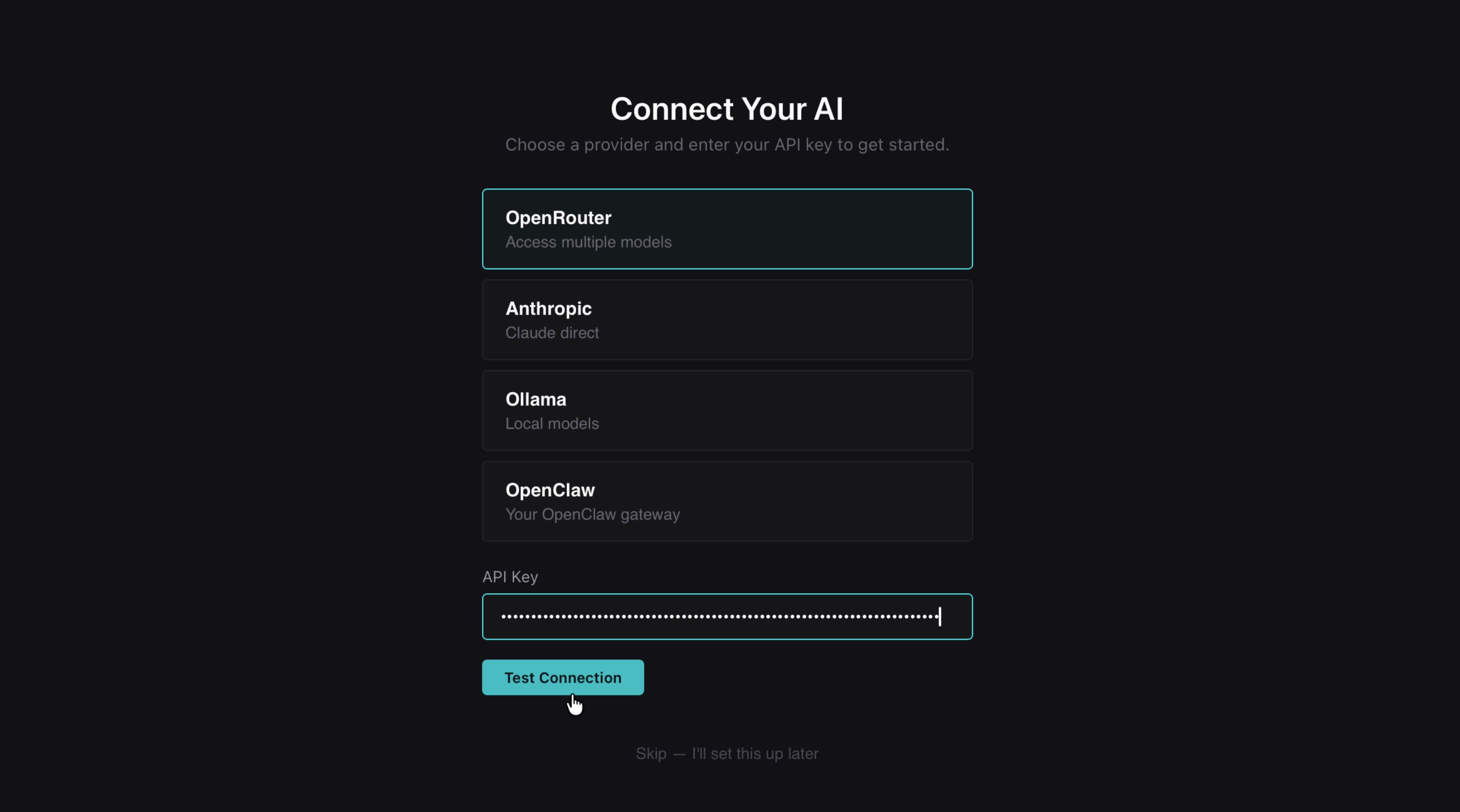 API key setup screen showing provider options